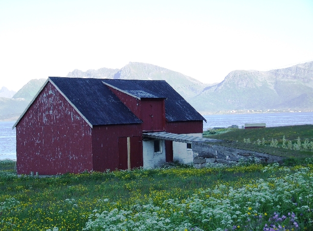 Typical Lofoten.JPG